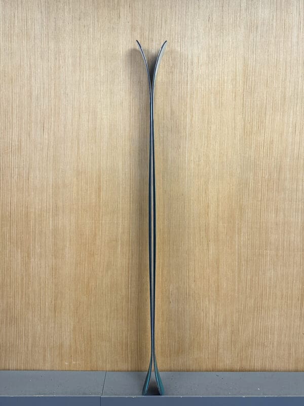 Primary 110 Signature Series Skis 24/25 - Image 8